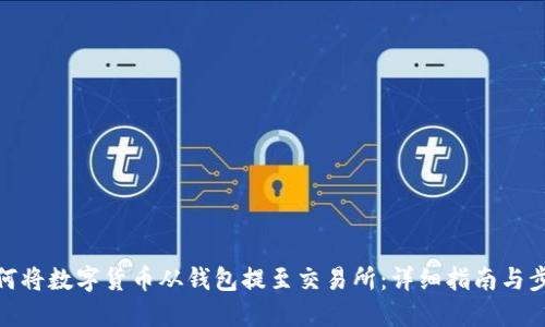 如何将数字货币从钱包提至交易所：详细指南与步骤