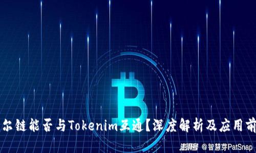 贝尔链能否与Tokenim互通？深度解析及应用前景
