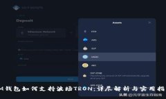 IM钱包如何支持波场TRON：详尽解析与实用指南