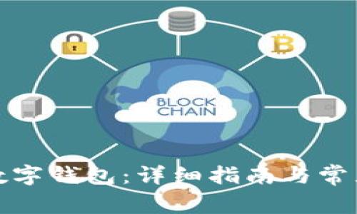 如何领取数字钱包：详细指南与常见问题解答