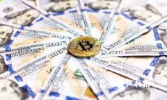 如何将Doge放入IM钱包的详细指南