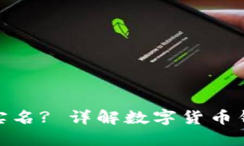 数字货币钱包是否需要实名? 详解数字货币钱包的实名制政策与影响