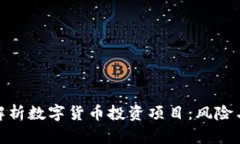 全面解析数字货币投资项目：风险与机遇