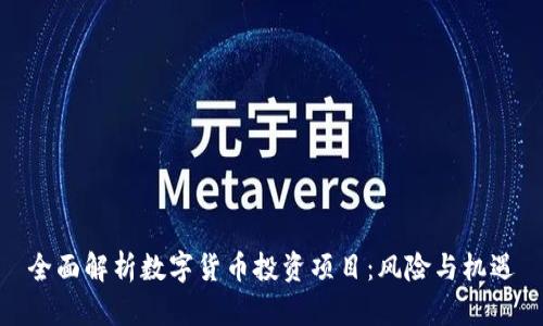 全面解析数字货币投资项目：风险与机遇