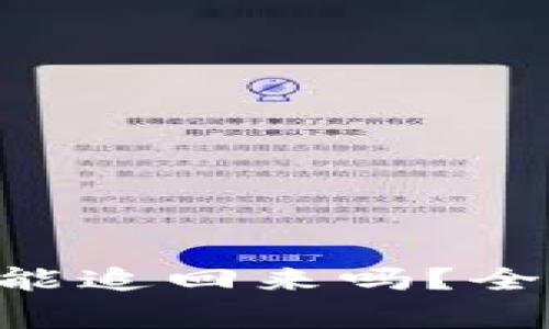 Tokenim被盗报警能追回来吗？全面分析与应对策略