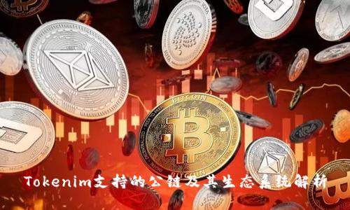 Tokenim支持的公链及其生态系统解析