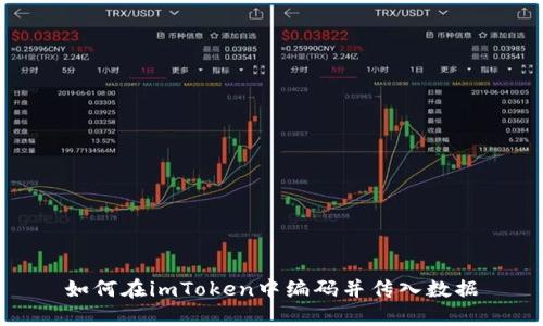 如何在imToken中编码并传入数据