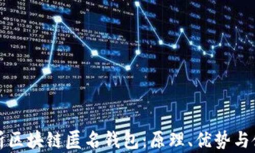 
全面解析区块链匿名钱包：原理、优势与使用指南