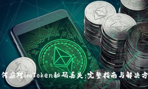 如何应对imToken秘码丢失：完整指南与解决方案