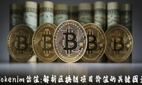
Tokenim估值：解析区块链项目价值的关键因素