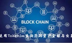 如何使用Tokenim查询您的资产金额与交易记录