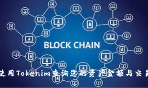 如何使用Tokenim查询您的资产金额与交易记录