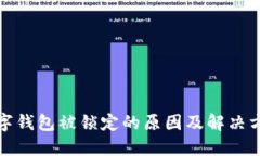 数字钱包被锁定的原因及解决方案