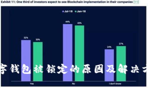 数字钱包被锁定的原因及解决方案